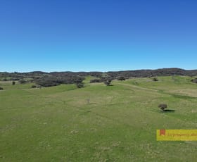 Rural / Farming commercial property sold at 656 Uungula Road Wuuluman NSW 2820