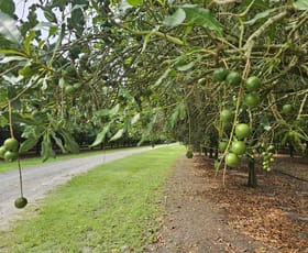Rural / Farming commercial property for sale at 32 Beerburrum Donnybrook Road Donnybrook QLD 4510
