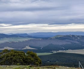 Rural / Farming commercial property sold at "Lark Ridge" Corrowong Road Corrowong NSW 2633