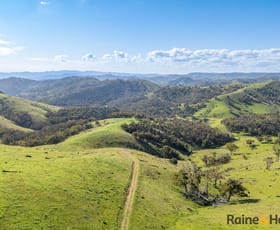 Rural / Farming commercial property for sale at Lot 2/2553 Campfire Road Walcha NSW 2354