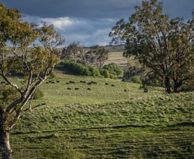 Rural / Farming commercial property for sale at 69 Roseberry Road Taralga NSW 2580