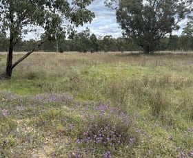 Rural / Farming commercial property sold at 93 Fairford Road Warialda NSW 2402