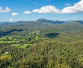 Rural / Farming commercial property for sale at Lot 1 Scotchman Range Road Kalang NSW 2454