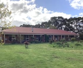 Rural / Farming commercial property for sale at 226 Wilsons Road Haddon VIC 3351