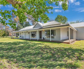 Rural / Farming commercial property sold at 2007 Curr Road Tongala VIC 3621