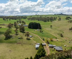 Rural / Farming commercial property for sale at 1444 Greenhills Road Guyra NSW 2365