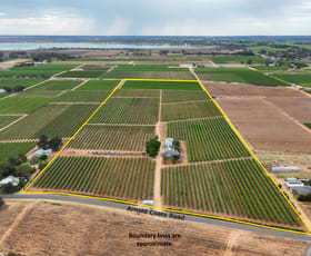Rural / Farming commercial property for sale at 50 Arnold Coats Road Cobdogla SA 5346