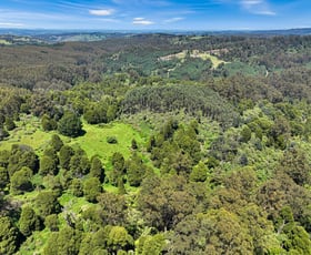 Rural / Farming commercial property for sale at Lot 1 & 2/355 Allambee-Childers Road Yarragon VIC 3823