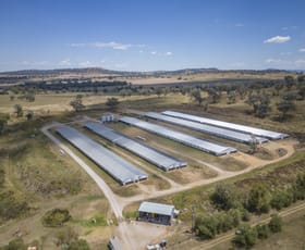 Rural / Farming commercial property for sale at 2797 Manilla Road Attunga NSW 2345
