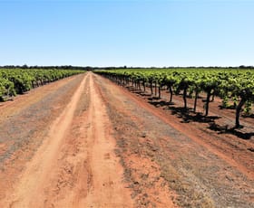 Rural / Farming commercial property for sale at 2756 Tapalin Mail Road Euston NSW 2737