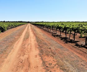 Rural / Farming commercial property for sale at 2756 Tapalin Mail Road Euston NSW 2737