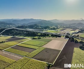 Rural / Farming commercial property for sale at 196 Pottsville Road Mooball NSW 2483