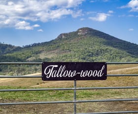 Rural / Farming commercial property sold at Lot 13 Cnr Cannon Creek Road & Ridge Road Maroon QLD 4310