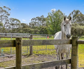 Rural / Farming commercial property for sale at Foster VIC 3960