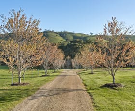 Rural / Farming commercial property sold at 1591 Mansfield-woods Point Road Piries VIC 3723