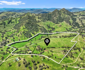 Rural / Farming commercial property for sale at 80 Gateleys Road Wingen NSW 2337