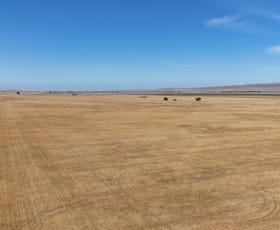 Rural / Farming commercial property sold at Section 31 Collinsfield Road Koolunga SA 5464