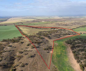 Rural / Farming commercial property for sale at Lots 99 & Bawdens Road Lipson SA 5607
