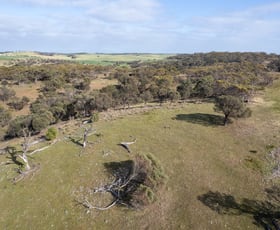 Rural / Farming commercial property for sale at Lots 99 & Bawdens Road Lipson SA 5607