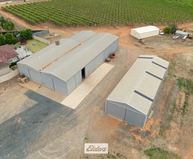 Rural / Farming commercial property sold at 5 Murray Avenue Red Cliffs VIC 3496