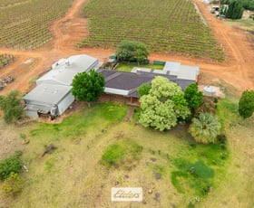 Rural / Farming commercial property sold at 1011 Coorong Avenue Red Cliffs VIC 3496