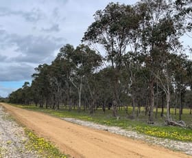 Rural / Farming commercial property for sale at Martup Downs, Leggoe Road Beaufort River WA 6394