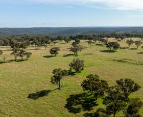 Rural / Farming commercial property for sale at 874 Ramah Road Guyra NSW 2365