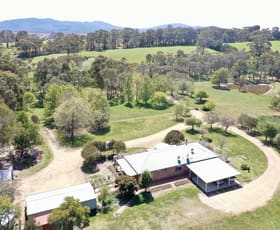 Rural / Farming commercial property for sale at 5882 Captains Flat Road Braidwood NSW 2622