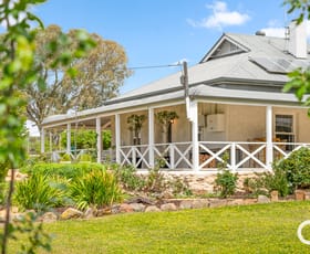 Rural / Farming commercial property sold at 115 Sugar Loaf Hill Road Mount Mckenzie SA 5353