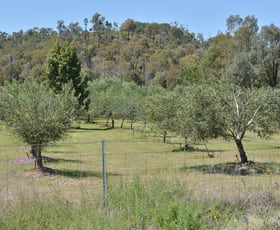 Rural / Farming commercial property for sale at 20 Kurrajong Road Coonabarabran NSW 2357