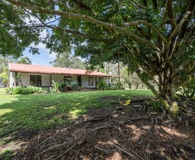 Rural / Farming commercial property for sale at 3422 Gwydir Highway Jackadgery NSW 2460