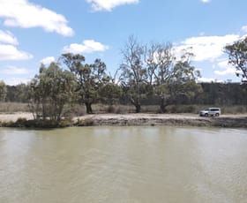 Rural / Farming commercial property for sale at 5621 Murraylands Road Swan Reach SA 5354