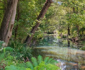 Rural / Farming commercial property for sale at 253 Palmvale Road Palmvale NSW 2484