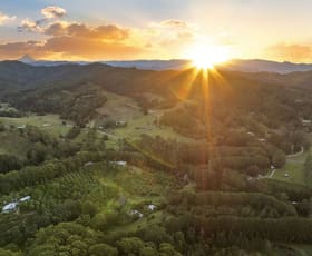 Rural / Farming commercial property for sale at 253 Palmvale Road Palmvale NSW 2484