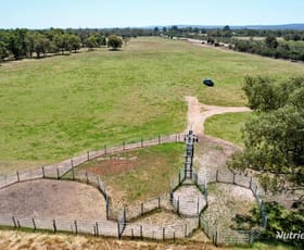 Rural / Farming commercial property for sale at 897 Brand Highway Muchea WA 6501
