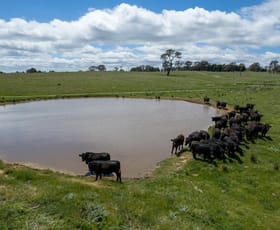 Rural / Farming commercial property sold at 239 Longrail Gully Road Murrumbateman NSW 2582