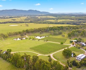 Rural / Farming commercial property for sale at 447 Old North Road Pokolbin NSW 2320