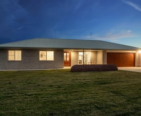 Rural / Farming commercial property for sale at 547 Glen Road Rosenthal Heights QLD 4370