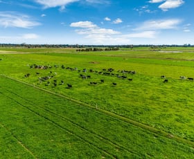 Rural / Farming commercial property for sale at 2217 Henderson Road Girgarre VIC 3624