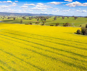 Rural / Farming commercial property for sale at 1791 Olympic Highway Culcairn NSW 2660