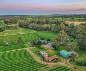 Rural / Farming commercial property for sale at 87 Jacob Road Rowland Flat SA 5352