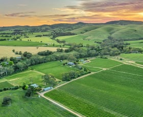 Rural / Farming commercial property for sale at 87 Jacob Road Rowland Flat SA 5352