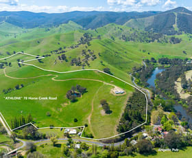 Rural / Farming commercial property sold at 78 Horse Creek Road Jingellic NSW 2642