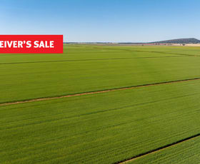 Rural / Farming commercial property sold at Boundary Road Murrami NSW 2705