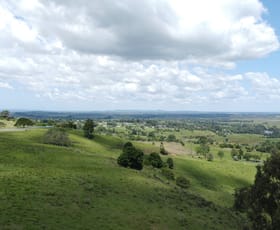 Rural / Farming commercial property sold at 295 Skyline South Wyrallah NSW 2480