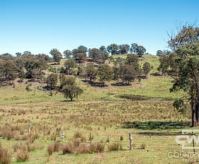 Rural / Farming commercial property for sale at 11, - Ten Mile Rd Deepwater NSW 2371
