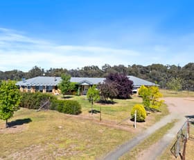 Rural / Farming commercial property for sale at 179 Bosworth Falls Road O'connell NSW 2795