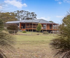 Rural / Farming commercial property for sale at 563a GREGORS Road Seddon SA 5223