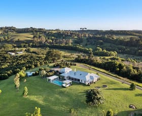 Rural / Farming commercial property for sale at 50 Kings Road Nashua NSW 2479