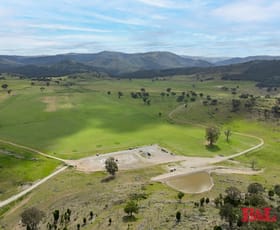 Rural / Farming commercial property for sale at 4166 Freemantle Road Gowan NSW 2795